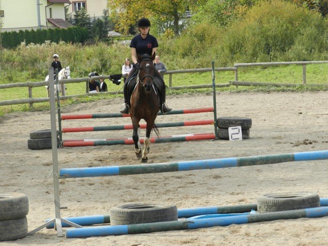 Babie Lato 2016
